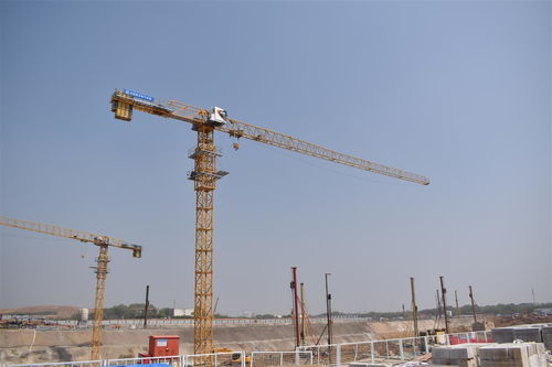 武汉最大还建房项目 豹澥项目首座塔吊安装完成